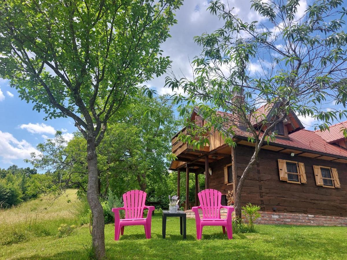 Rural Holiday House Tinna Biskupec Zelinski Екстериор снимка